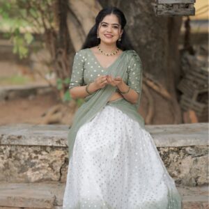 Elegant Dhavani Set