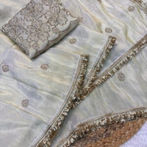 ✨ Premium Pure Cosmos Tissue Partywear Saree ✨